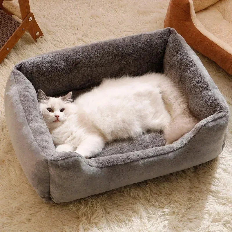 Bolster Beds For Kitten