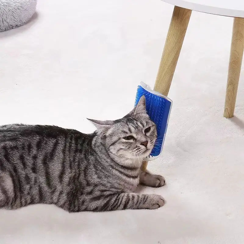 Self Cleaning Rubbing Brush